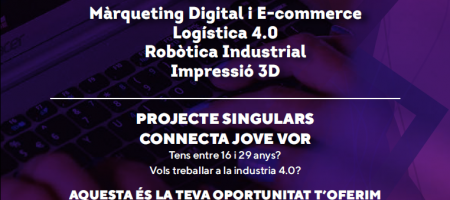 Nova edició del programa Connecta Jove VOr